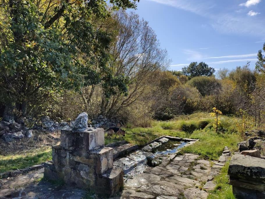 Casa Rural Tozolosolobos Otero de Bodos 외부 사진