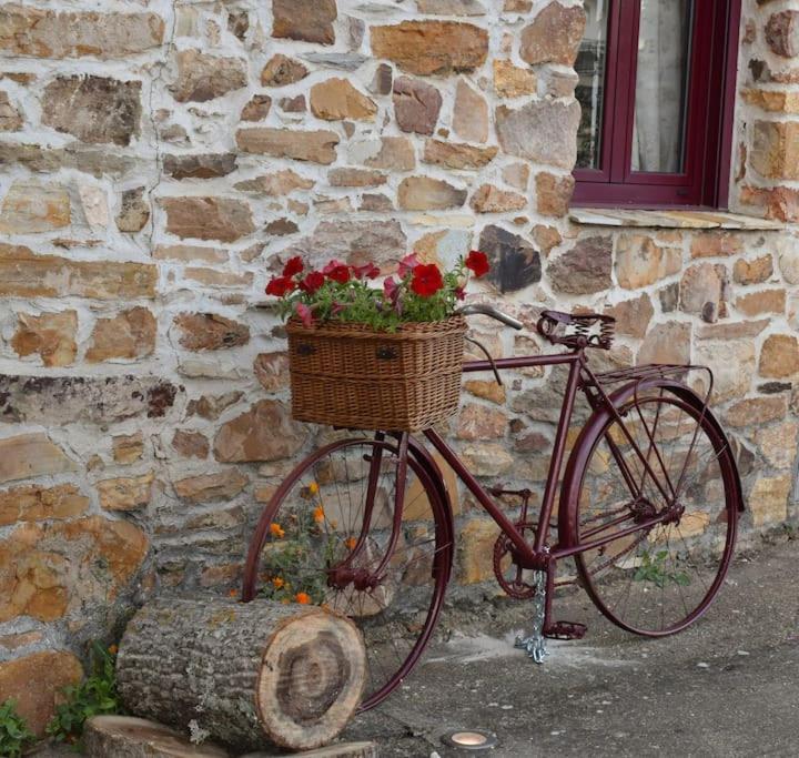 Casa Rural Tozolosolobos Otero de Bodos 외부 사진